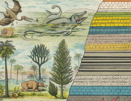 ‘Geology and Palaeontology’, from Cassell’s Natural History, 1896. Mary Evans Picture Library.