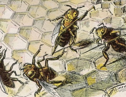 A beehive scene, by Fedor Flinzer, 1902. Mary Evans Picture Library.