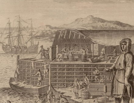 View of a stage where cod is caught, prepared and dried in Newfoundland, Marco Coltellini, 1763. ©John Carter Brown Library, Box 1894, Brown University, Providence, R.I. 02912.