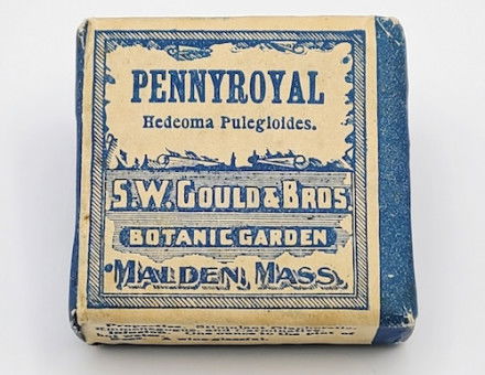 A packet of pennyroyal leaves used to induce abortion, c. 1900. OHSU Library. Public Domain.