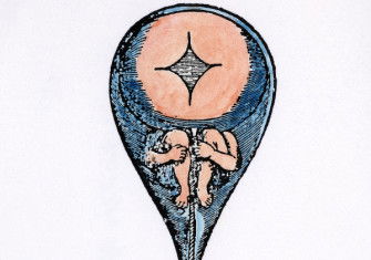A homunculus inside human sperm, from Niklass Hartsoeker’s ‘Essay de Dioptrique’, 17th century. Granger/Bridgeman Images.