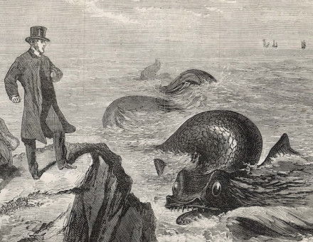 ‘Startling appearance of a monster sea-serpent off Kilkee on the Irish coast (from a sketch by an eye-witness)’, from the Days’ Doings, 21 October 1871.